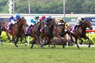 Alibi (NZ) takes out the Listed Patron's Bowl. Photo: Singapore Turf Club